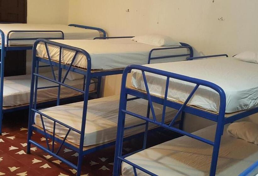 펜션 Hostal El Jardin