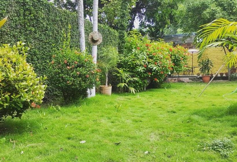 پانسیون Hostal El Jardin