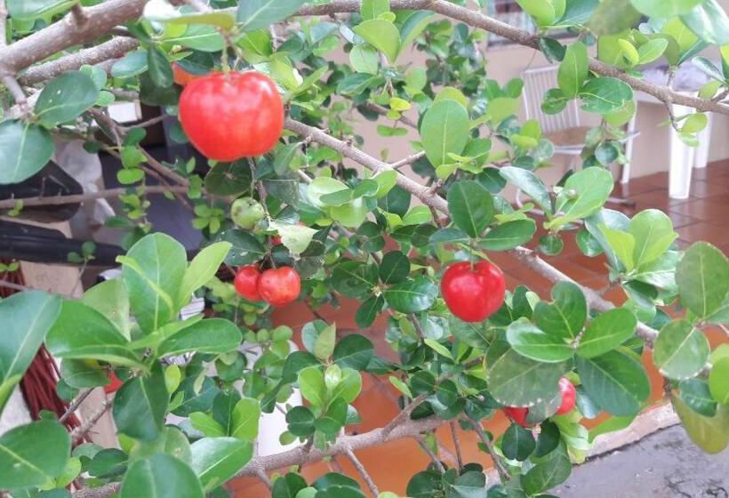 펜션 Pousada Catarina