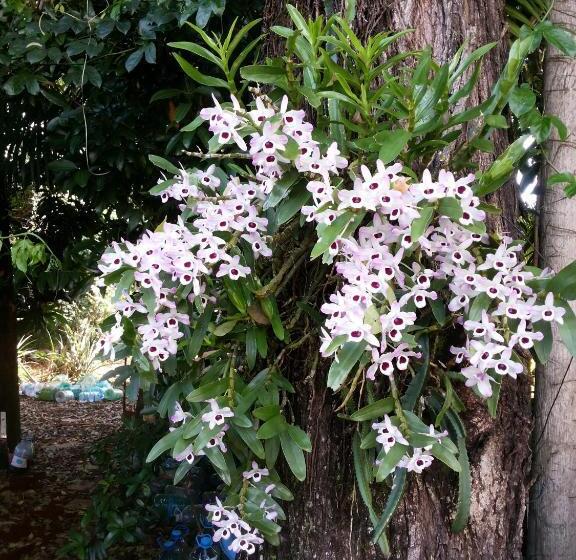 펜션 Pousada Catarina