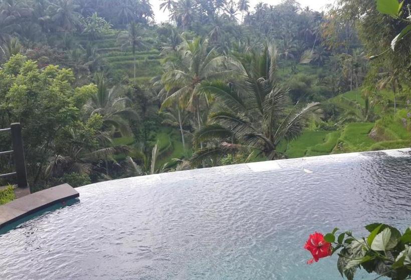 פנסיון Villa Wedang