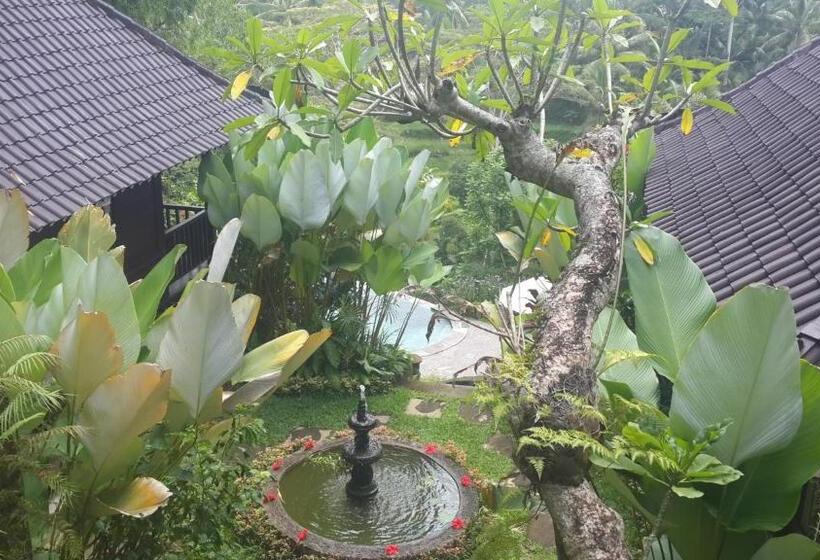 פנסיון Villa Wedang