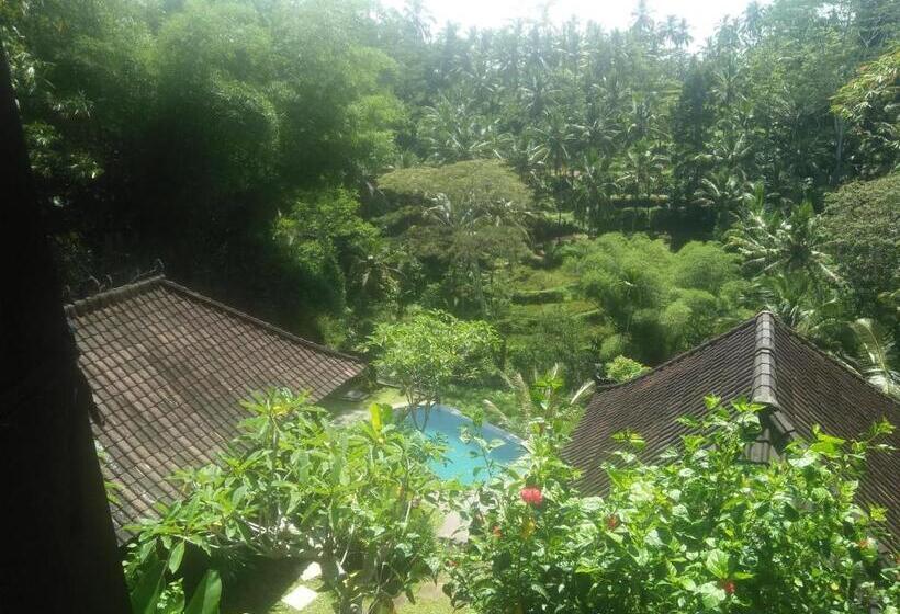 פנסיון Villa Wedang