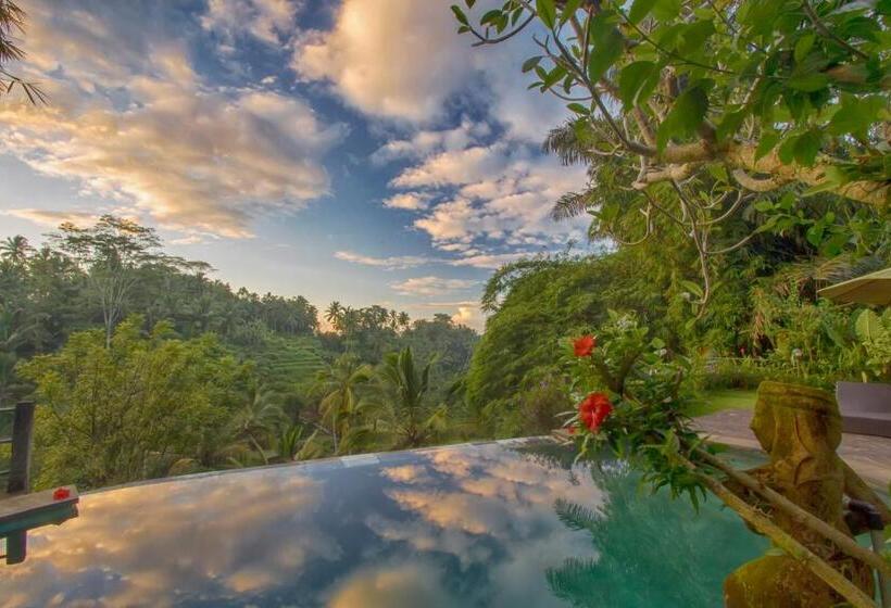 פנסיון Villa Wedang