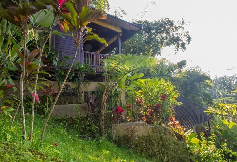 פנסיון Villa Wedang