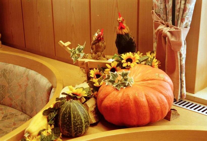 호스텔 Gästehaus Elvia