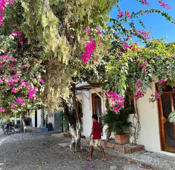 הוסטל Posada Gallinas