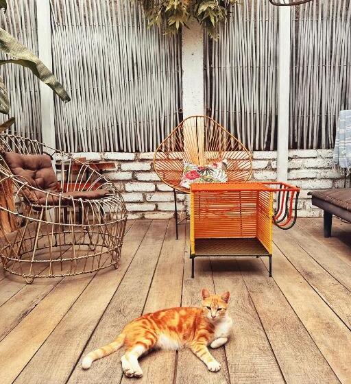 הוסטל Posada Gallinas