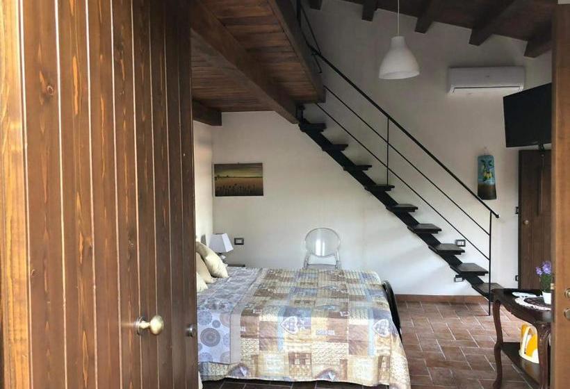 Общежитие Roba Albanisi