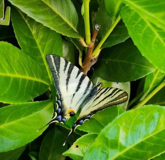 Отель Agriturismo E Alloggi Luis Gianni