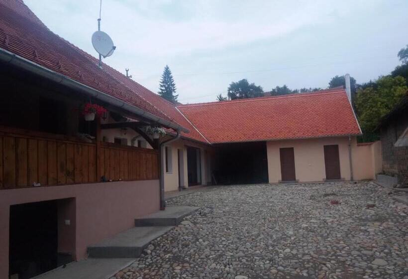 בית מלון כפרי Casa Saseasca