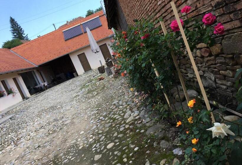 בית מלון כפרי Casa Saseasca