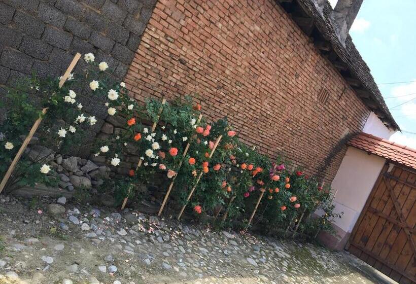 בית מלון כפרי Casa Saseasca