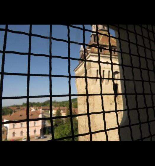 בית מלון כפרי Casa Saseasca