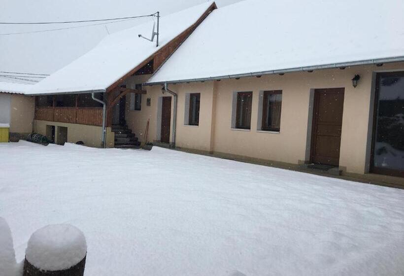 בית מלון כפרי Casa Saseasca