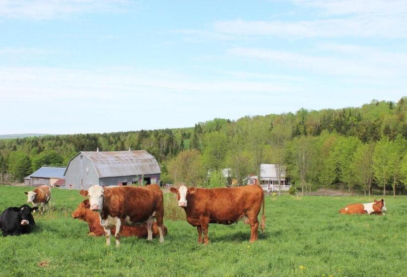 Отель Maison Du Vieux Chemin