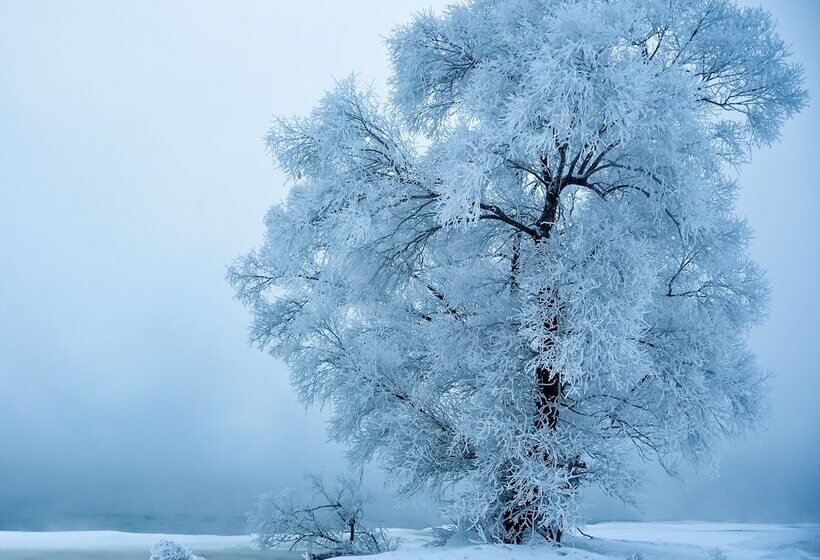 호텔 Rime Island Manzhaosongju Inn