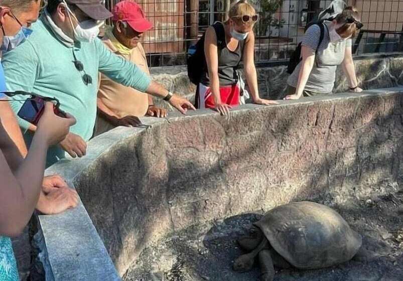 פנסיון Hostal Muro De Las Lagrimas With High Speed Internet Starlink