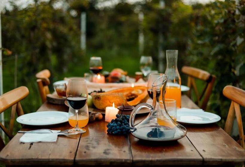 پانسیون Isev Kvareli