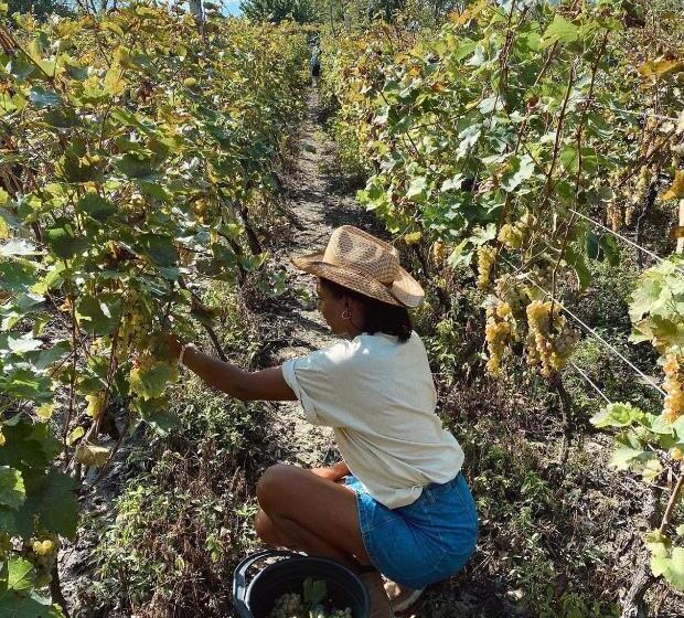 پانسیون Isev Kvareli