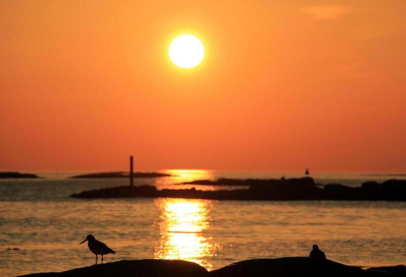 膳宿费 Midnattsol Rom Og Hytter