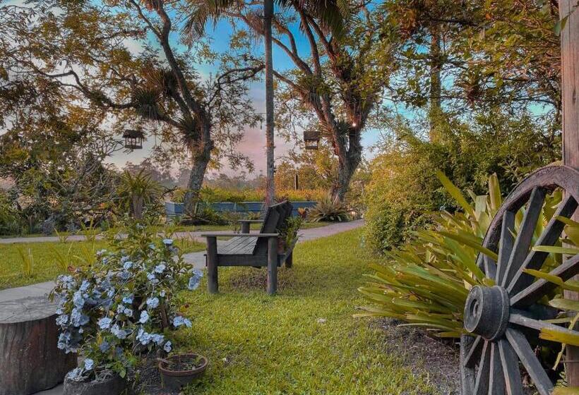 بنسيون Morada Das Bromelias