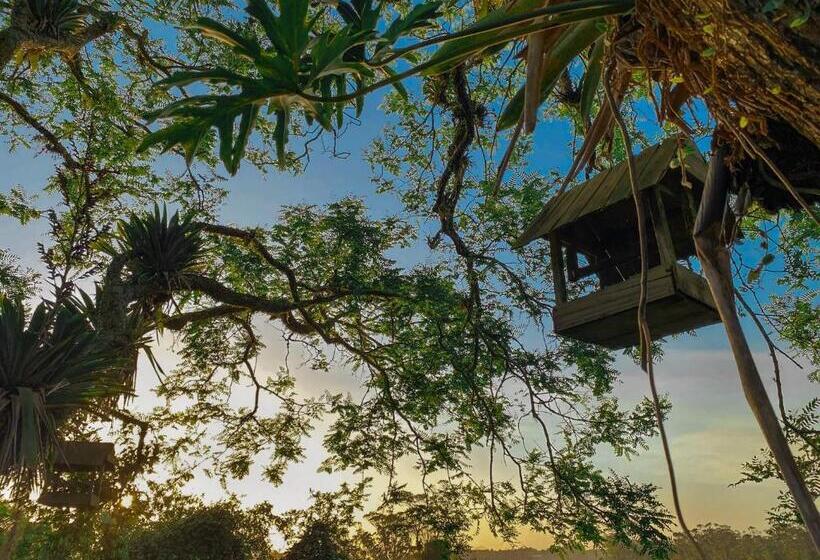 بنسيون Morada Das Bromelias