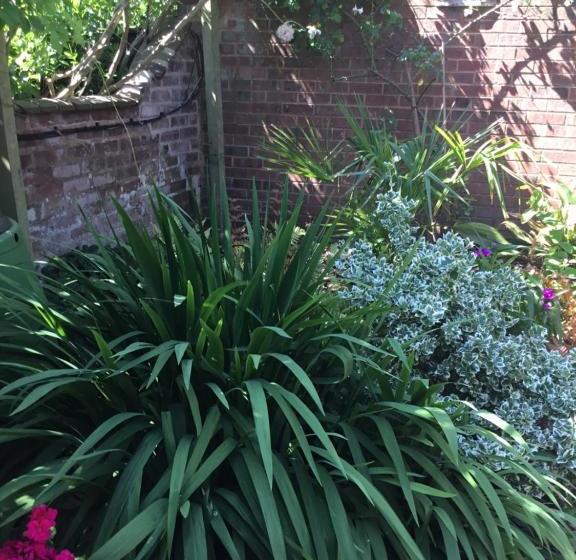 پانسیون The Raffles