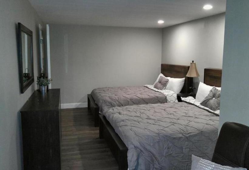 هاستل Lily's Lodge