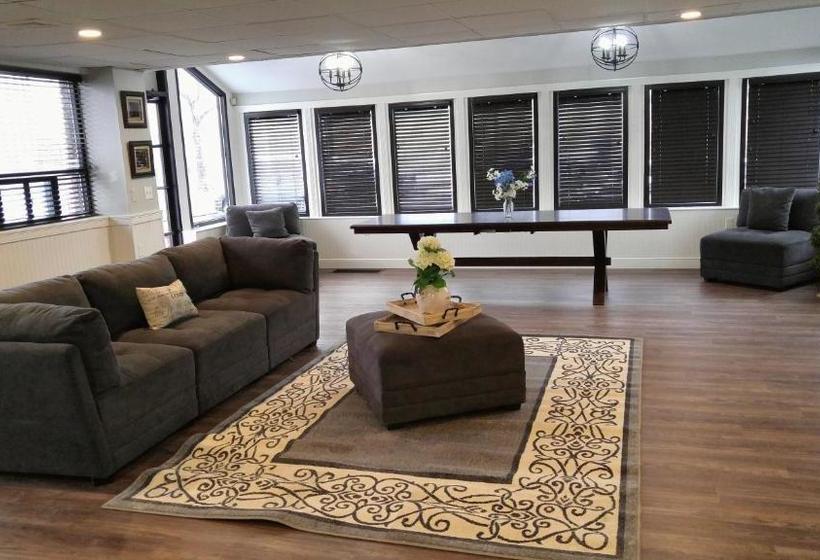 هاستل Lily's Lodge