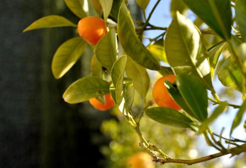 민박 Le Petit Chateau