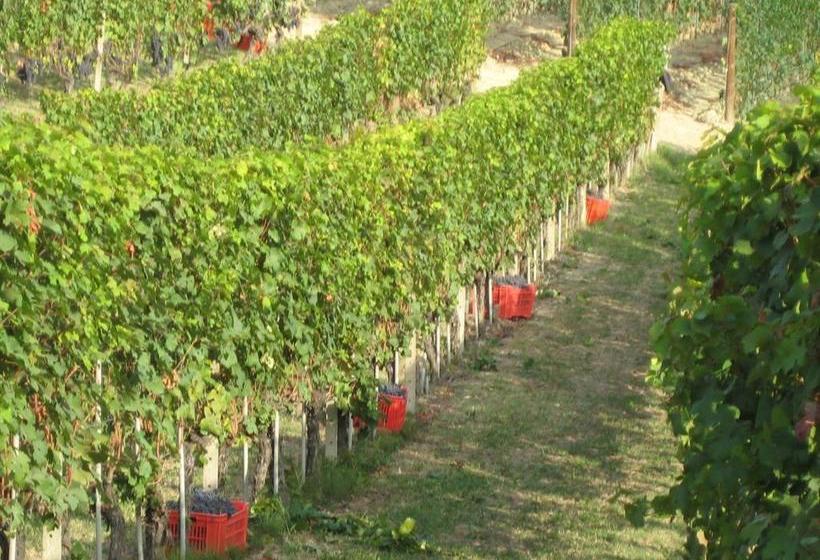 בית מלון כפרי Agriturismo Il Ciabot