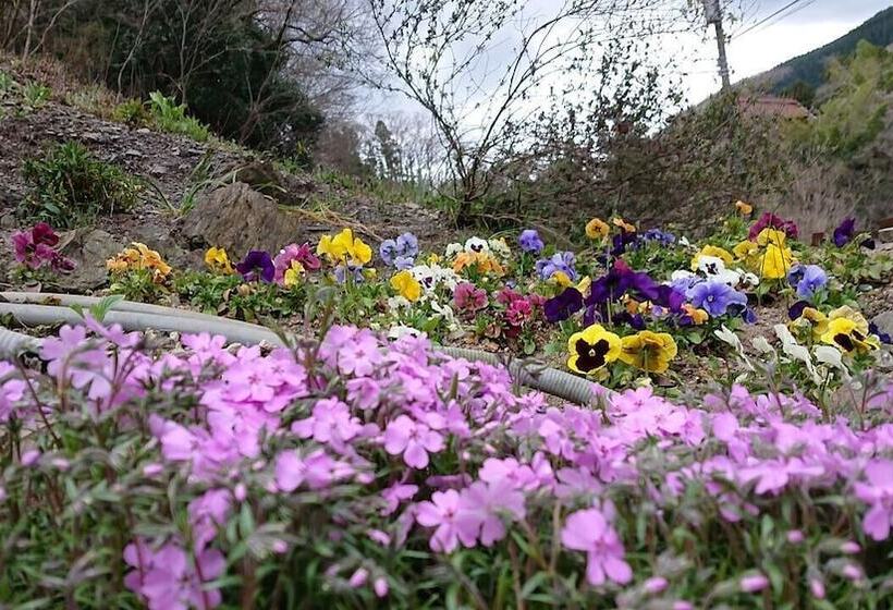 בית מלון כפרי Lake&forest Flower Villa