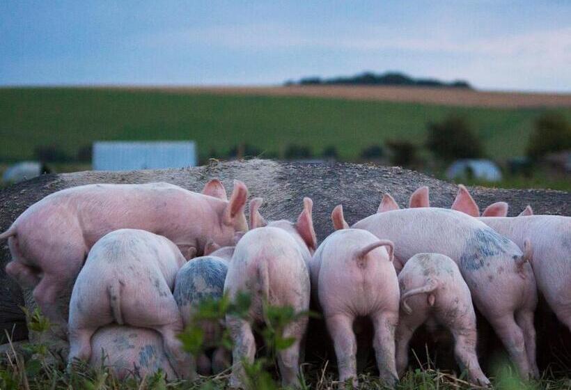 ホテル Helen Browning's Royal Oak