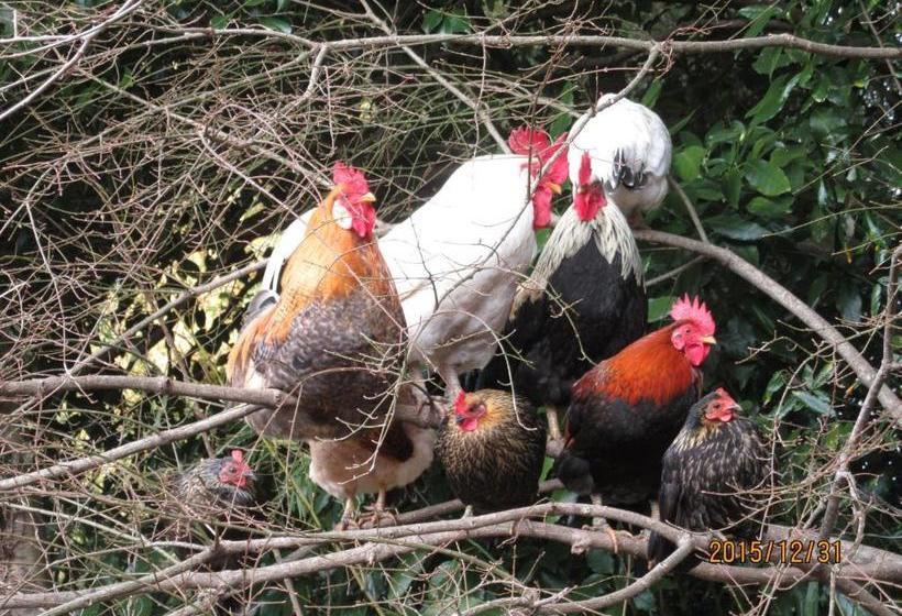 فندق Nouka Minpaku Seiryuan