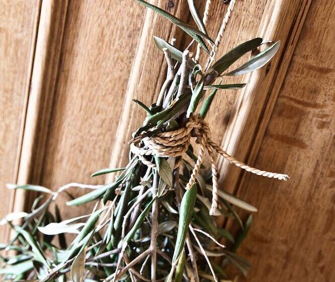 بنسيون D Olyfboom Guest House B & B