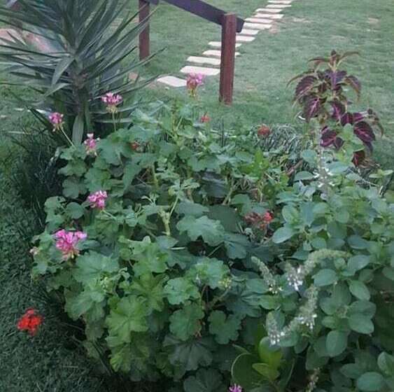 펜션 Pousada Marra