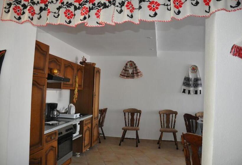 Pensiune Muzeu Traditional Poveste In Transilvania