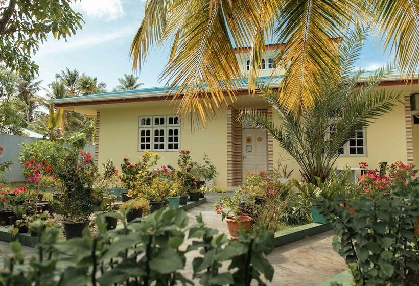 پانسیون Vieni Qua Grand