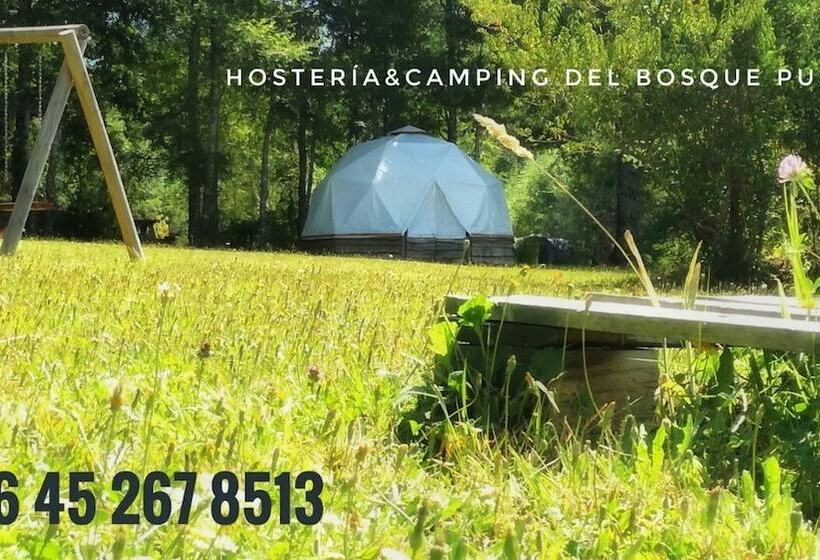 הוסטל Hosteria Y Camping Del Bosque Pucón