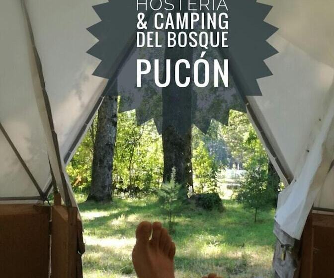 הוסטל Hosteria Y Camping Del Bosque Pucón