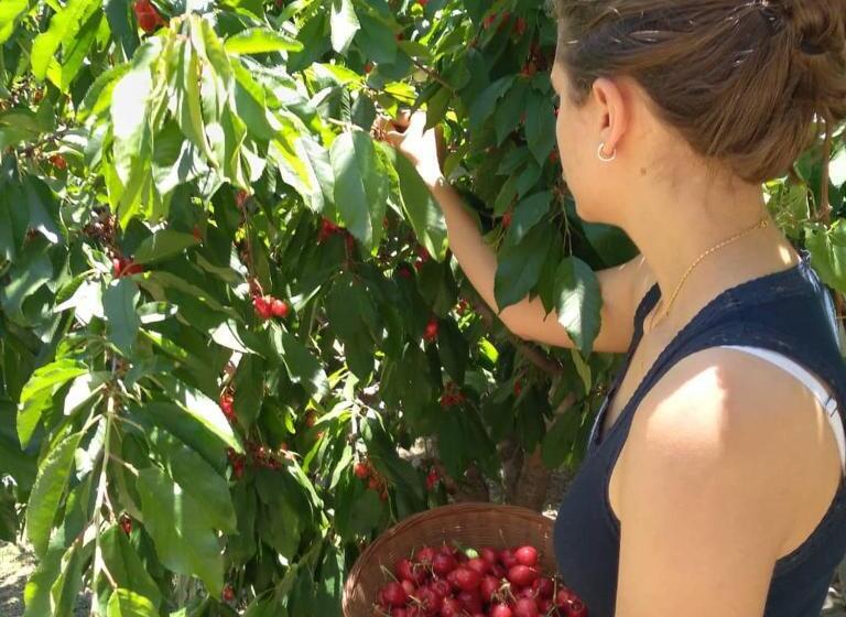 Herberge Finca La Clementina