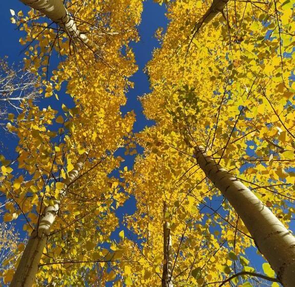 Herberge Finca La Clementina