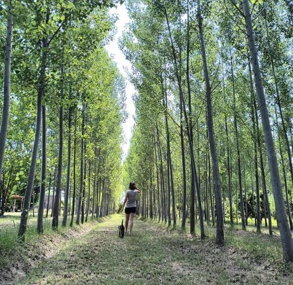 Herberge Finca La Clementina