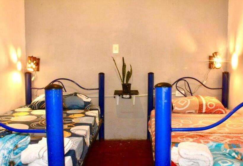 هاستل Hostal Música Y Arte