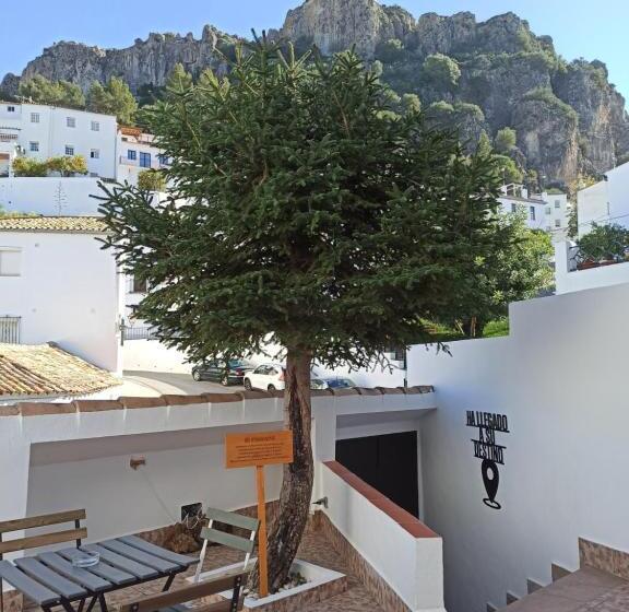 Общежитие La Jarana Casa