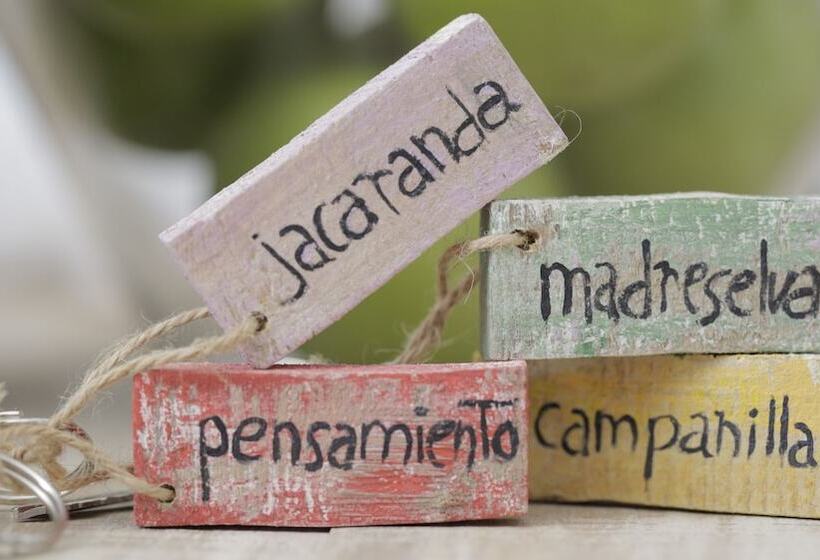 Общежитие La Jarana Casa