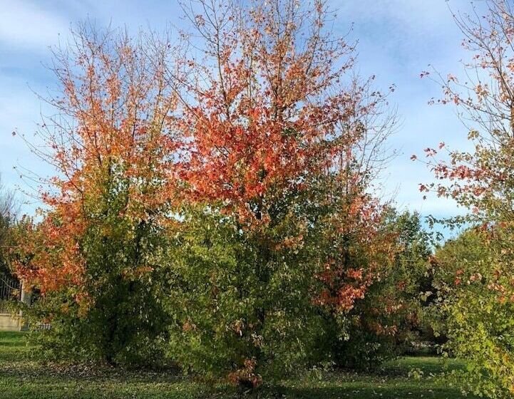 فندق Cascina San Giorgio