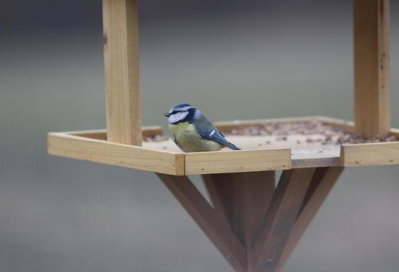 فندق Ospitalita' Rurale Casa Cani