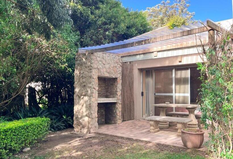 פנסיון 35 On Basil